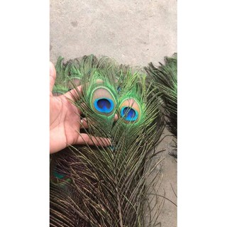 combo 33 cành  lông công dài 1 mét mắt lông to 4-6cm  cho bàn thờ Gia Tiên .