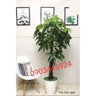(HN)Cây Kim Ngân cao 1m5 Ảnh Thật không kèm chậu- Cây giả