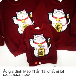 Áo nỉ mèo thần tài...