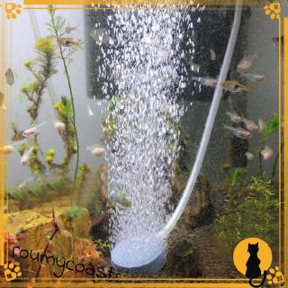 Sủi đĩa oxy siêu mịn 4cm