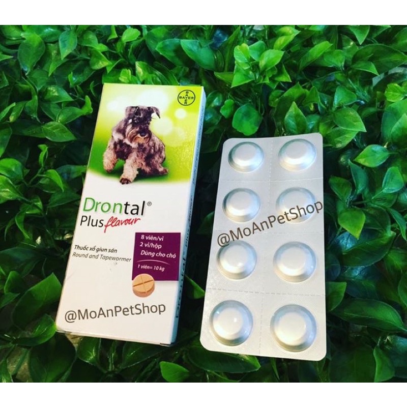 X-Ổ Gi.un Dron.tal