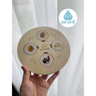 Bộ đồ chơi montessori vòng sinh trưởng xếp hình vòng đời của động vật và thực vật bằng gỗ cho bé