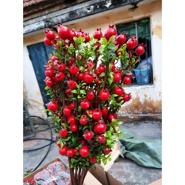 Hoa Giã chưng Tết