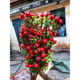 Hoa Giã chưng Tết