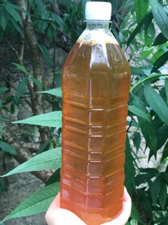 Mật ong rừng nguyên chất(mật ong của ong Khoái rừng) mùa từ 2 lít dc tăng túi tỏi đen nhà làm