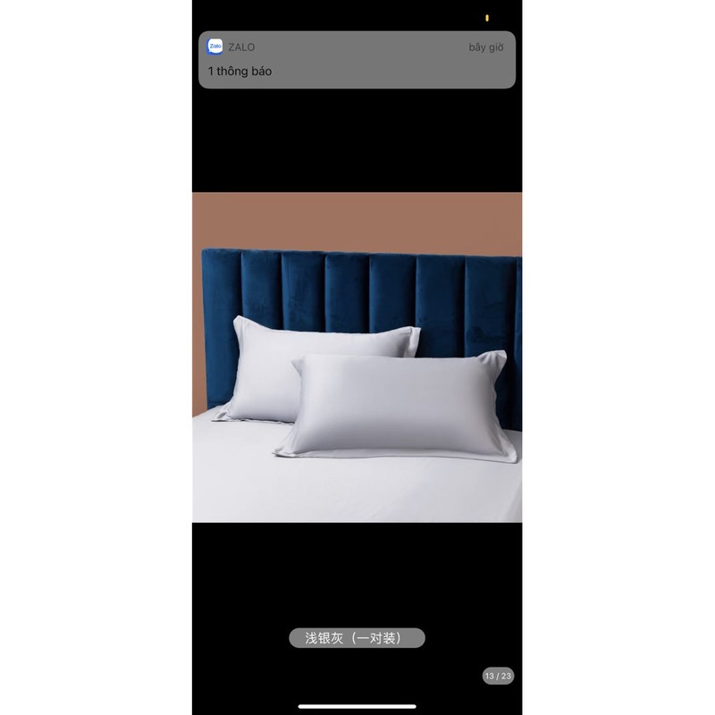 [COMBO 2 CHIÊC] Vỏ gối Bedding Tencel  Cao Cấp Màu Trơn 50x70 cm 80s  | BigBuy360 - bigbuy360.vn