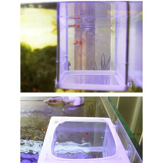 LỒNG DƯỠNG CÁ DẠNG LƯỚI - LỒNG ĐẺ CHO CÁ, TÔM LỘT VỎ, LỒNG TÁCH CÁ