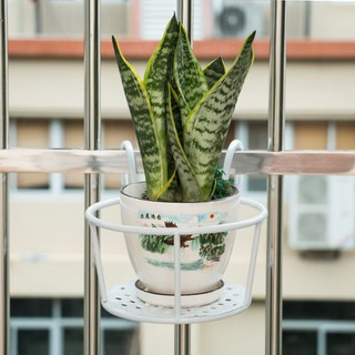 Giỏ sắt treo hoa ban công