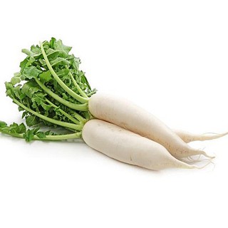 20gram HẠT GIỐNG CỦ CẢI TRẮNG