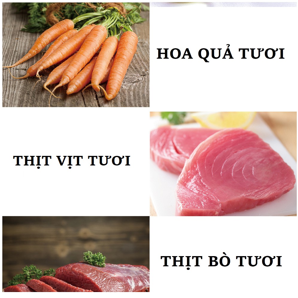 Thức Ăn Hạt Nature Bridge Dành Riêng Cho Chó Poodle Trưởng Thành Gói Lẻ 500g