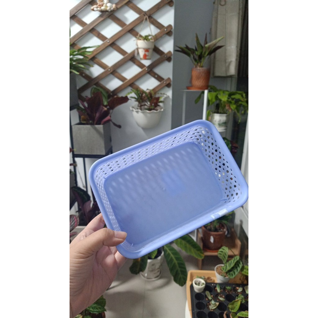 RỔ NHỰA ĐAN THẤP DUY TÂN - (1T4, 1T8, 2T6)