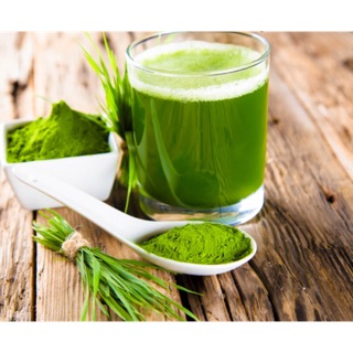 Bột cỏ lúa mạch