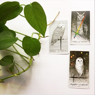 Bài Tarot The Wild Unknown