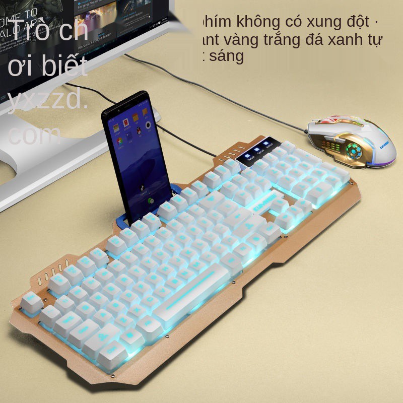 Bộ bàn phím và chuột thao tác có trọng lượng bằng kim loại dây ánh sáng máy tính để thiết bị ngoại vi trò chơ | BigBuy360 - bigbuy360.vn
