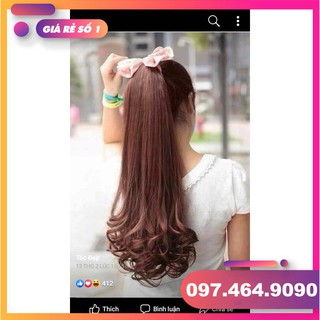 Tóc giả - Tóc buộc
