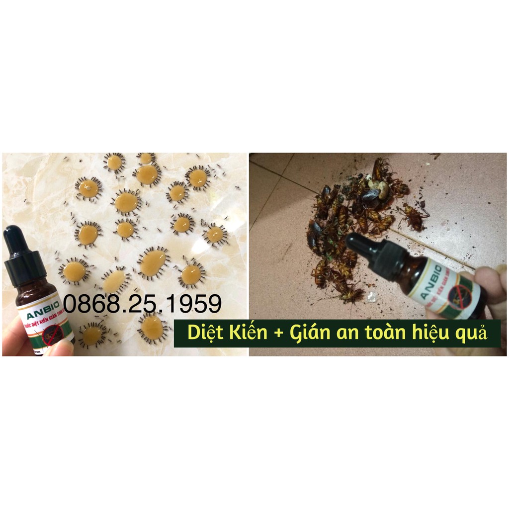 Trị kiến gián sinh học Anbio, an toàn hiệu quả - [OOOSHOP]