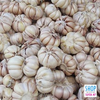 500g tỏi trắng thông dụng - Phi Tỏi tạo mùi thơm dùng để chiên xào