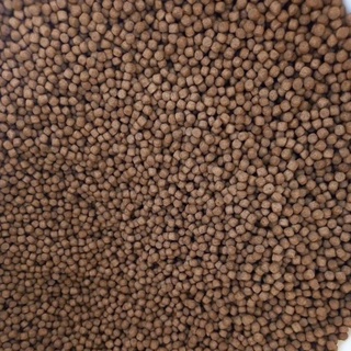 Thức ăn chuyên cho cá thịt nuôi tại nhà - cám cho cá nhanh lớn ( 500gr)