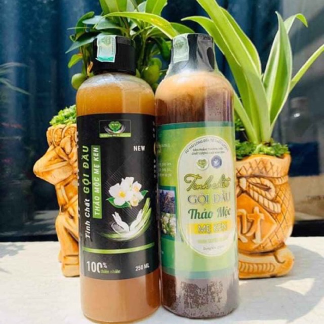 Dầu gội đầu thảo mộc thiên nhiên Mẹ Ken
