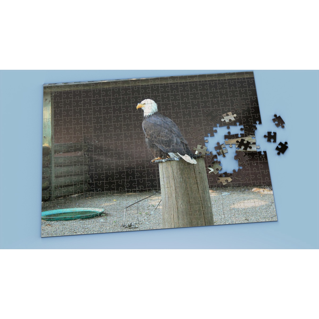 Tranh ghép hình EAGLE - Mẫu 4 - Nhận in theo yêu cầu