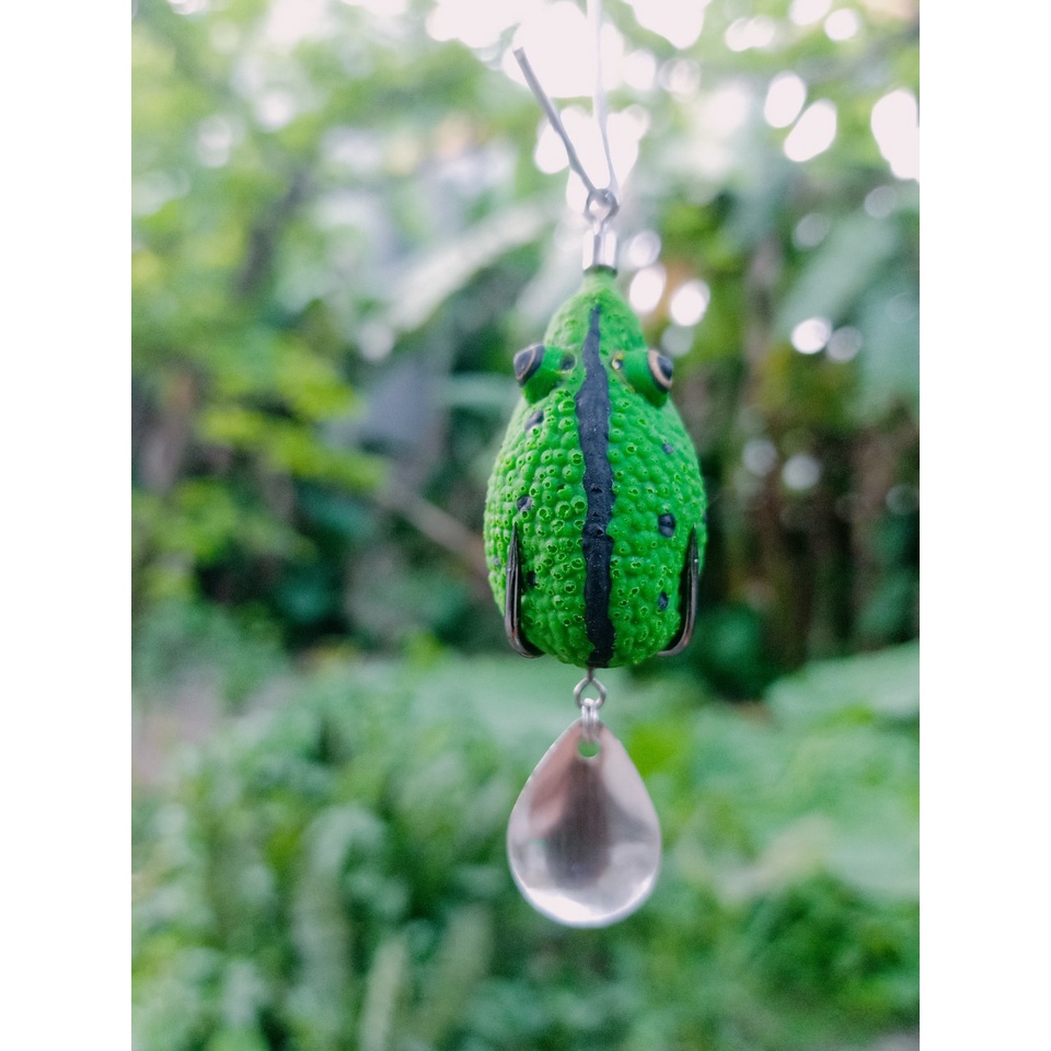 Nhái hơi vf5-Tăcke SNS