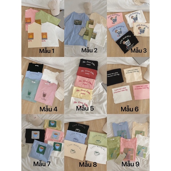 Áo pull tag sugar (nhiều hình)