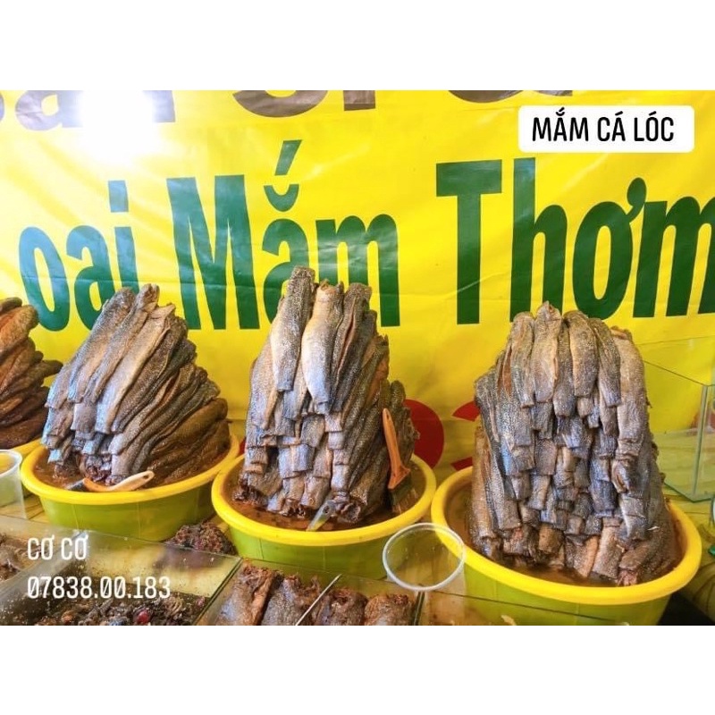 MẮM CÁ LÓC - MẮM MIỀN TÂY AN GIANG