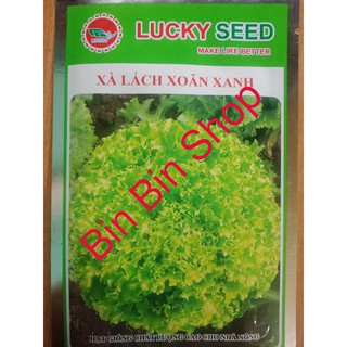 HẠT GIỐNG RAU XÀ LÁCH XOĂN XANH 5GRAM