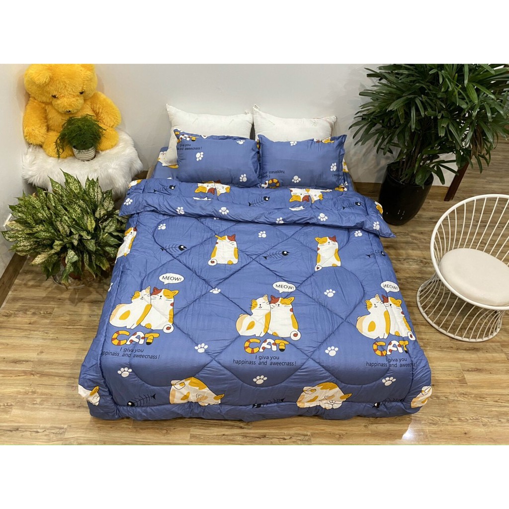 Bộ Chăn Ga Gối Cotton Poly Chăn Phao 5 Món Mới Nhất