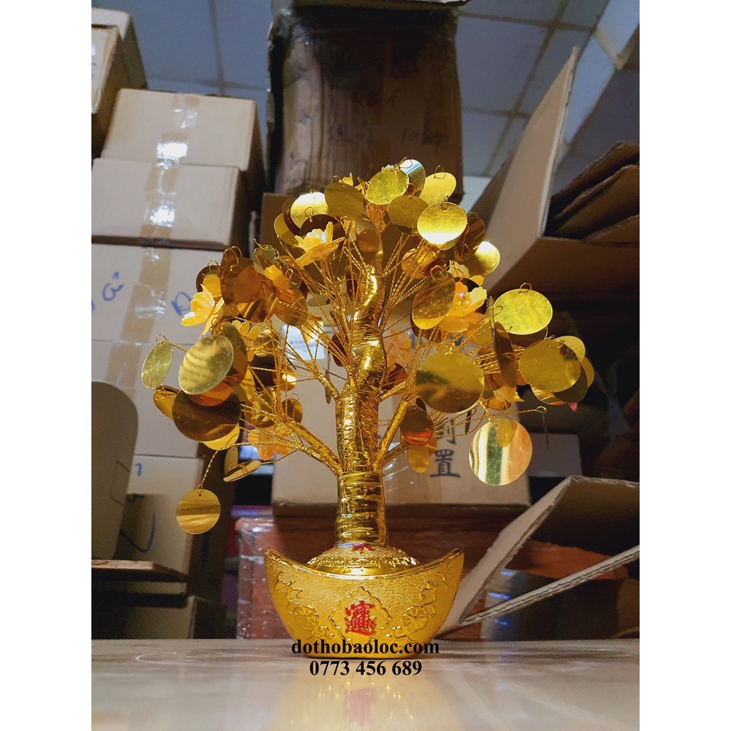 Cây Kim Tiền Vàng Lộc Tài ( 2 cỡ cao: 29cm và 26cm)