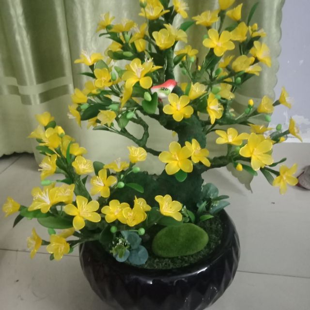 Combo vat lieu lam binh mai