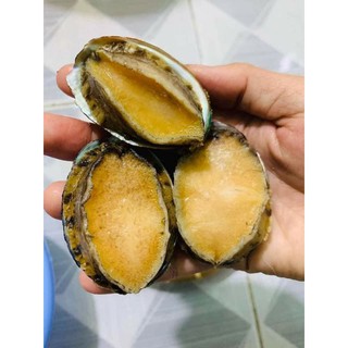 BÀO NGƯ HÀN QUỐC SIZE 20CON/KG