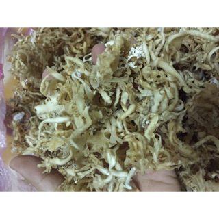 500GR RAU CÂU CHÂN VỊT LÝ SƠN TỰ NHIÊN SẠCH KHÔNG TẨY HOÀN TOÀN TỪ THIÊN NHIÊN