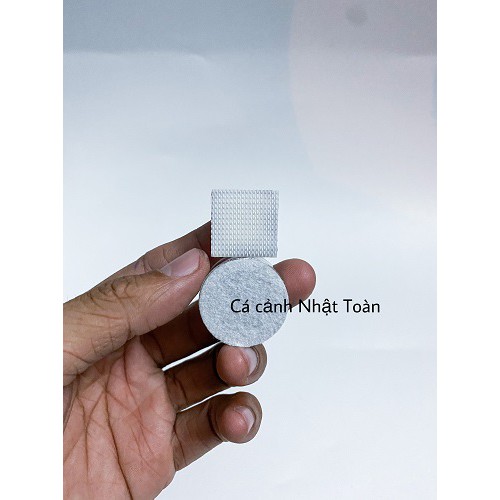 HÍT CHÀ HỒ MINI CHIHIROS VỆ SINH HỒ CÁ SIÊU DÍNH MAGNET CLEANER