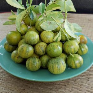 Tắt Cẩm Thạch