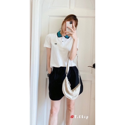 Áo polo phối cổ màu