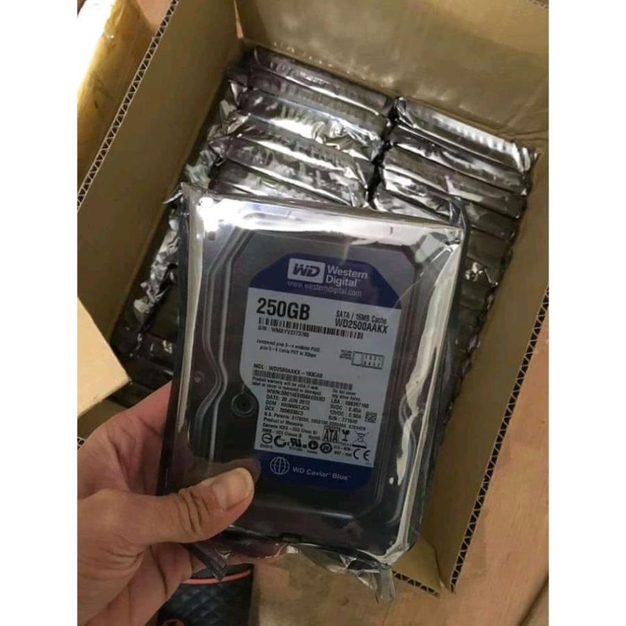 Ổ cứng HDD WD Western 250GB - Bảo Hành 24 Tháng  - SPANA