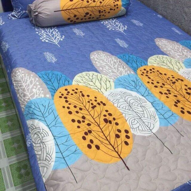 Sét mẫu lá cọ