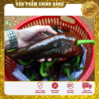 Hạt giống ớt sừng ngọt - 30 hạt