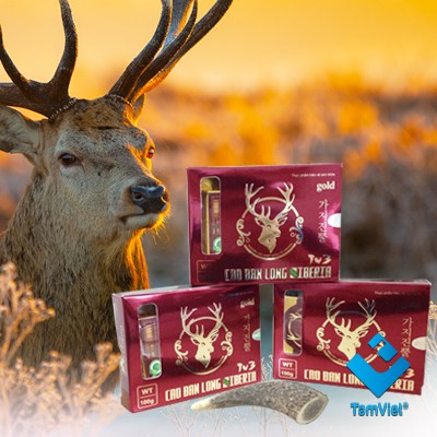 Cao ban long Siberia (dạng cao đặc)