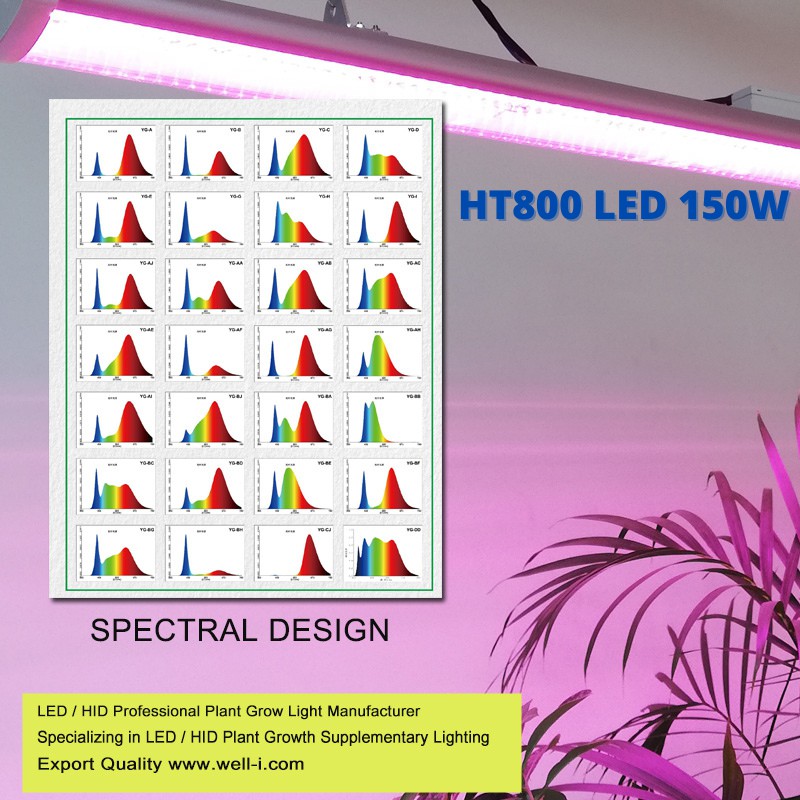 Đèn LED Trồng Cây Trong Nhà DELPONTING HT800 LED 150W Đèn Quang Hợp Cho Cây, Rau, Thuỷ Canh, Sen Đá,..