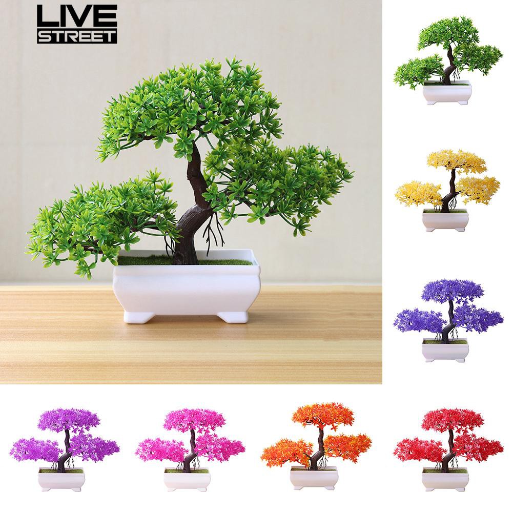 Cây bonsai giả bằng nhựa dùng cho trang trí