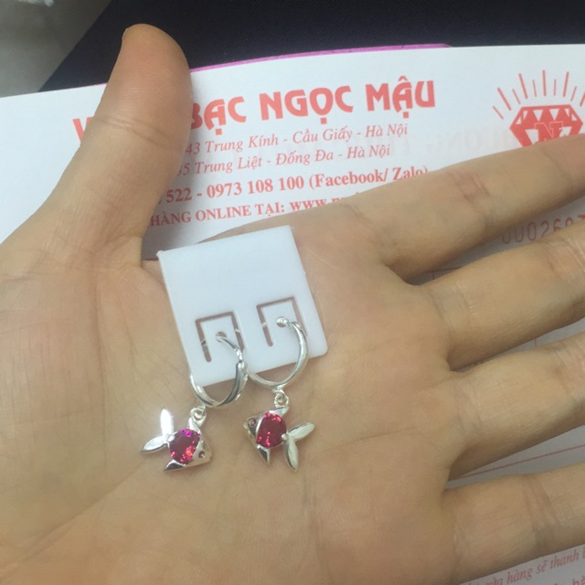 Khuyên tai cá hồng bạc ta nụ và thả