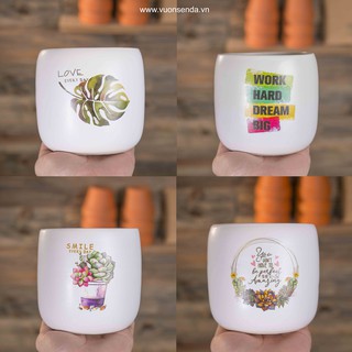 Chậu trụ bo in hình 12x12cm - Vườn sen đá