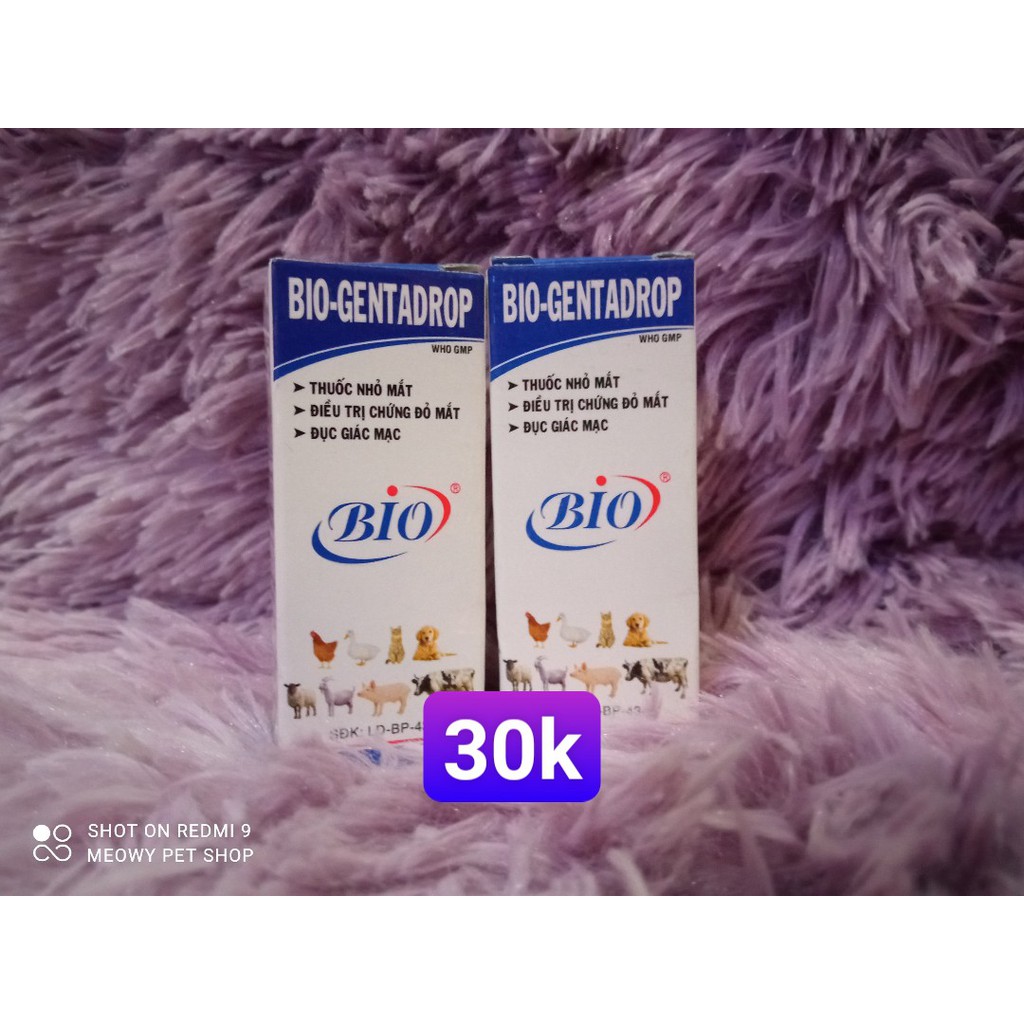 Dung dịch Nhỏ Mắt Cho Chó Mèo - Bio Gentadrop 10ml