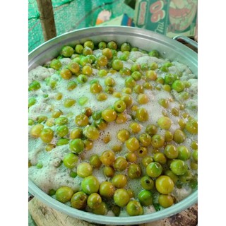TÁO SẤY DẺO PHAN RANG
