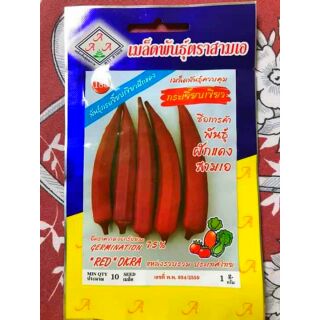 HẠT GIỐNG ĐẬU BẮP ĐỎ THÁI LAN