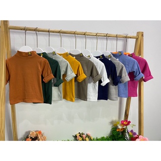 Áo bozip cổ 3 phân