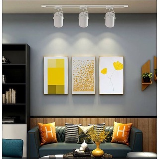 ComBo Đèn Rọi Ray Mắt Ếch 7w /12w + Cob 10w Trang Trí Rọi Tranh Rọi Điển Nhấn