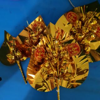 Lá Trầu - Cành Vàng Lá Ngọc